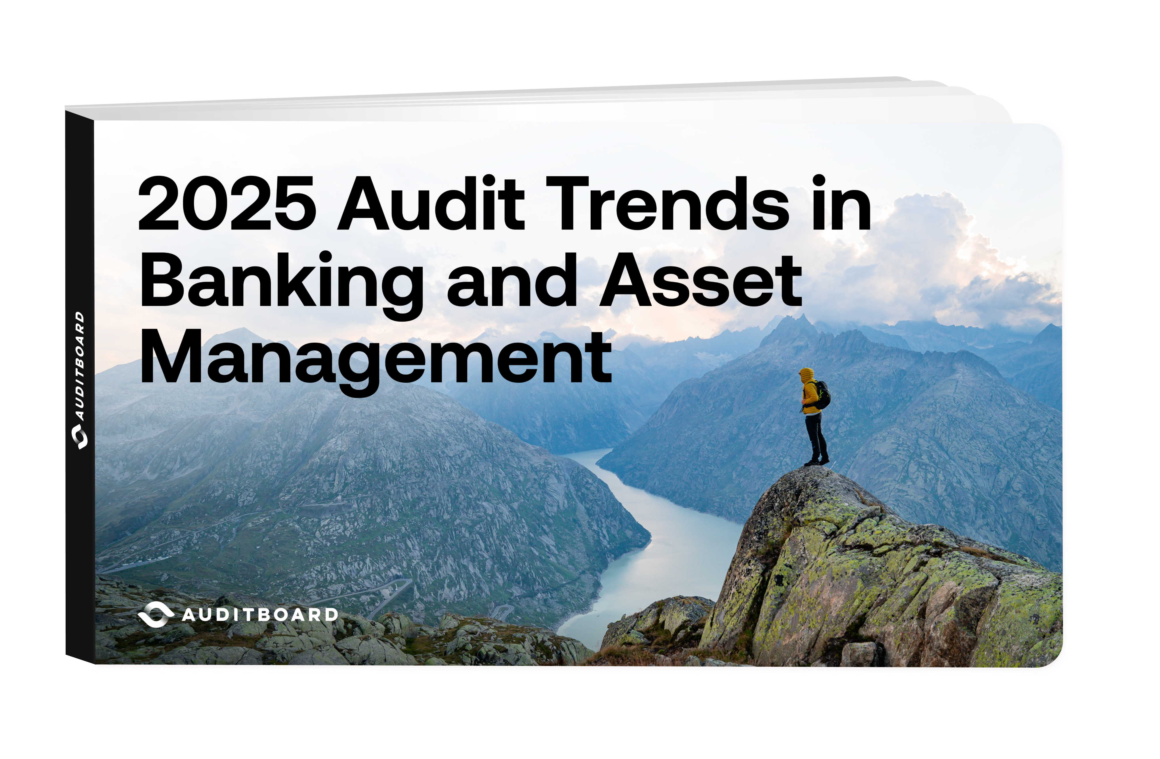 2025 Audit Trends in Banking and Asset Management