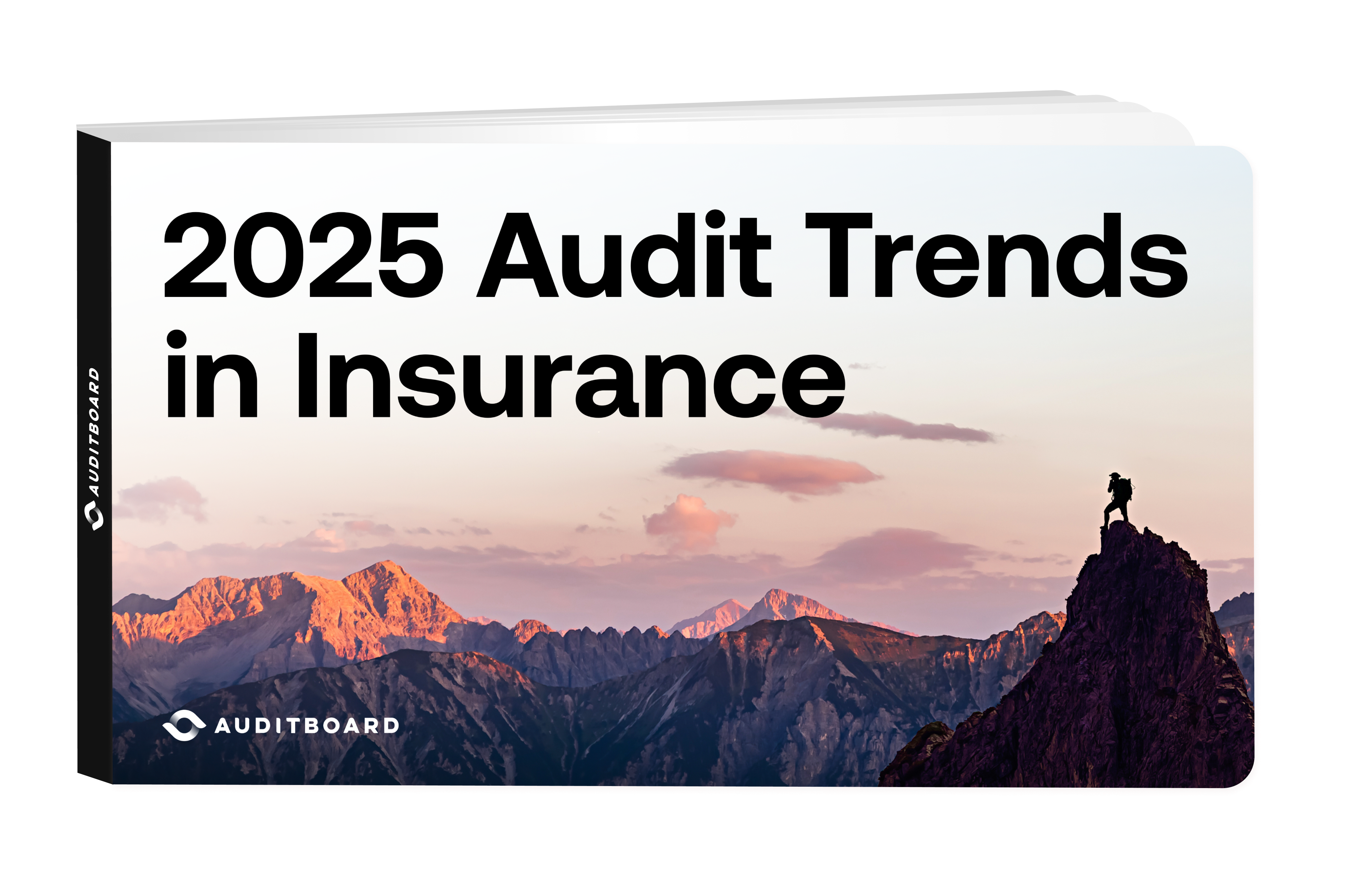 2025 Audit Trends in Insurance