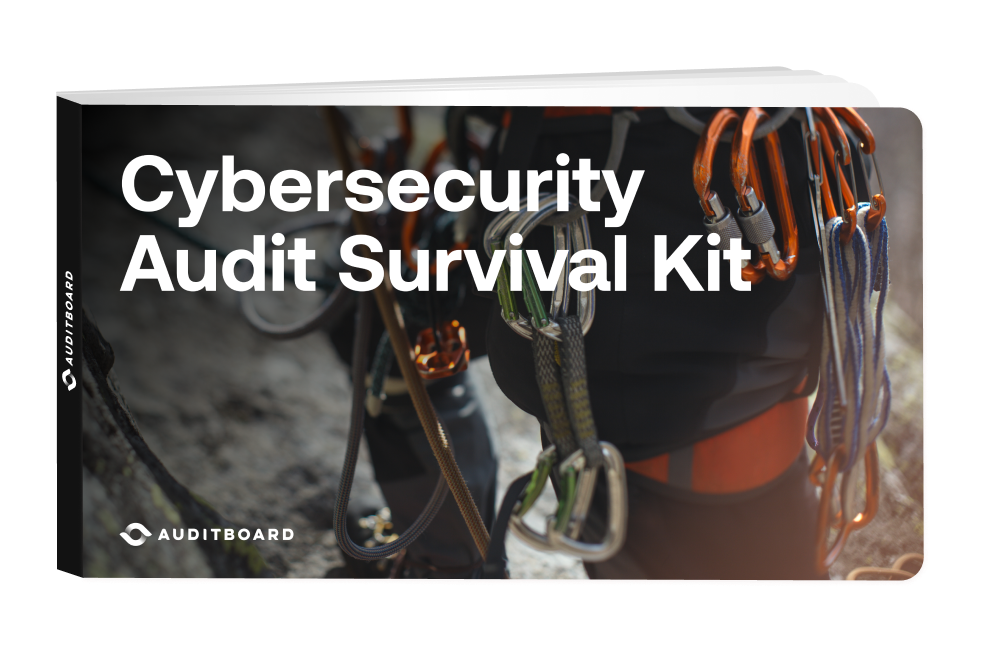 Cybersecurity Audit Survival Kit