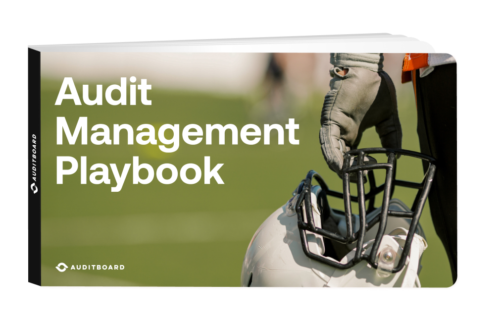 The Audit Management Playbook (2025 Update)