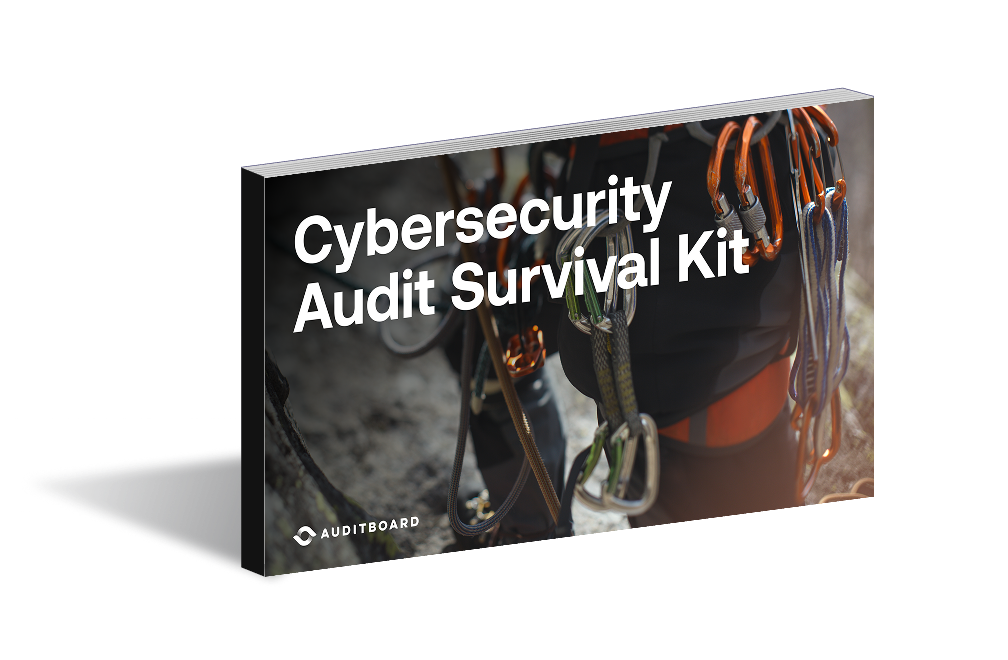 Cybersecurity Audit Survival Kit