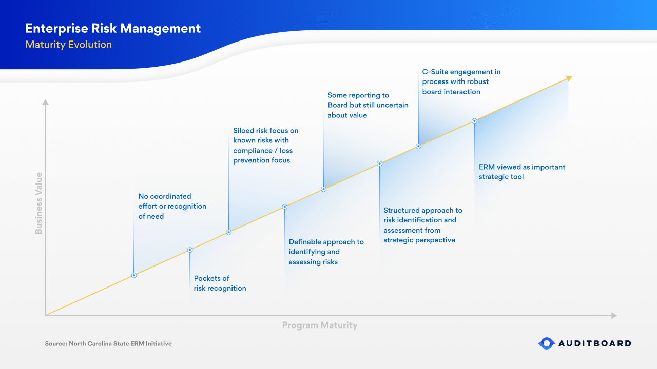 Getting Risk Management Right Making the Case for Risk Maturity